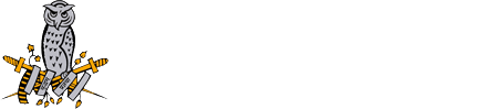 DSSC